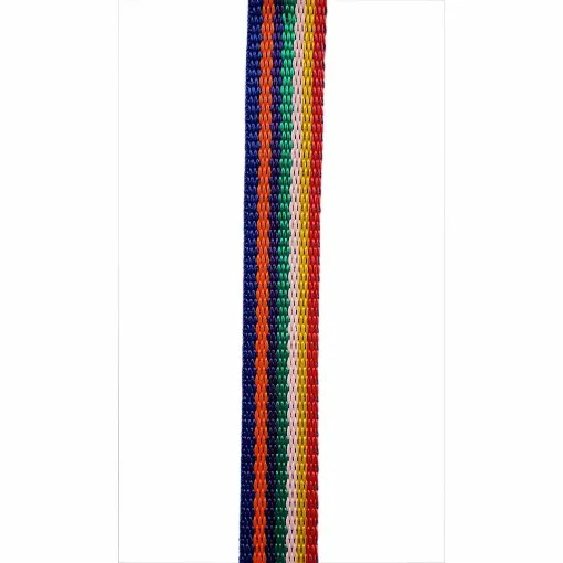 Picture of Rainbow Webbing 1" 25mm