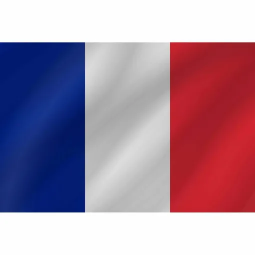 Picture of Courtesy Flag - France