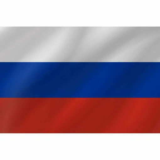 Picture of Courtesy Flag - Russia