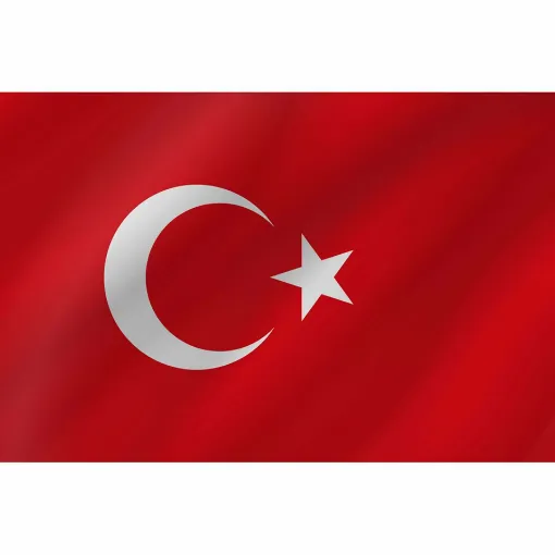 Picture of Courtesy Flag - Turkey