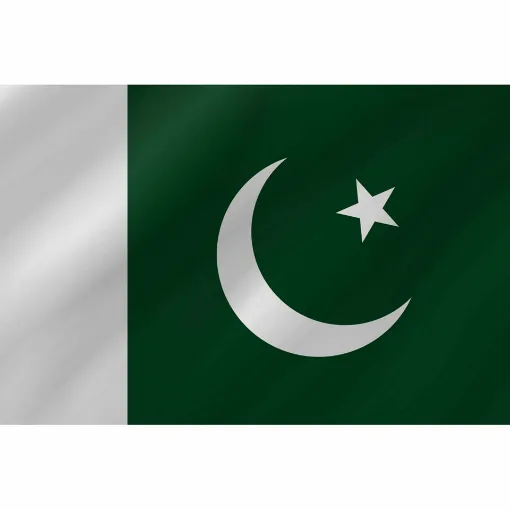 Picture of Courtesy Flag - Pakistan