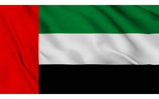 Picture of Uae Flag