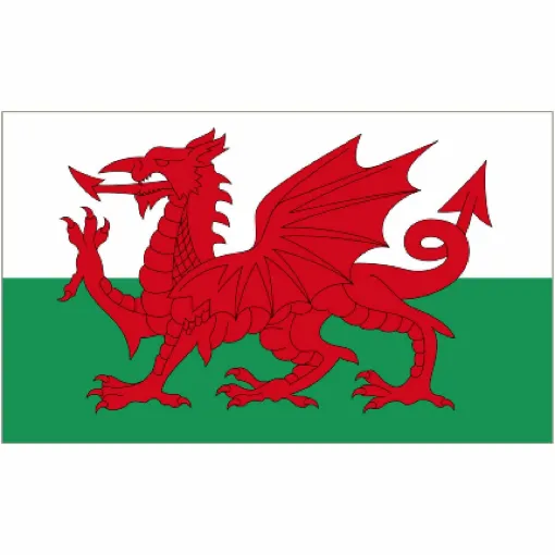 Picture of Courtesy Flag - Welsh Dragon