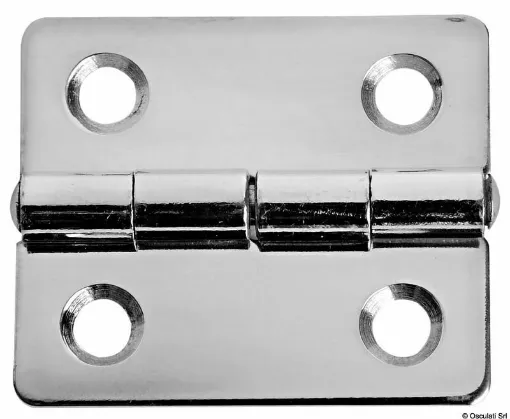 Picture of Mirror polished rectangular stainless steel hinges.