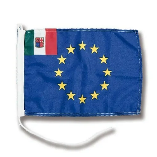 Picture of European Flag