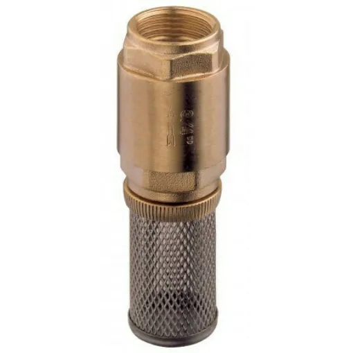 Picture of Stainless Steel Filter X 1" Check Valve.