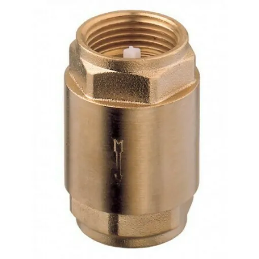 Picture of Check Valve With Brass Spring 1"1-2"