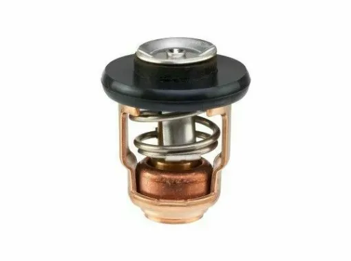 Picture of Thermostatic Valve