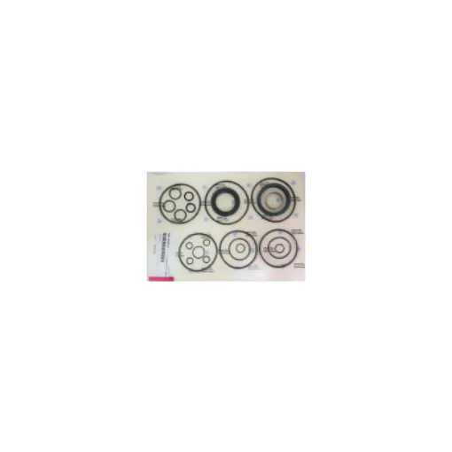 Picture of 3205199501 Gaskets Zf220A (All, Including Seal Rings And Segments)