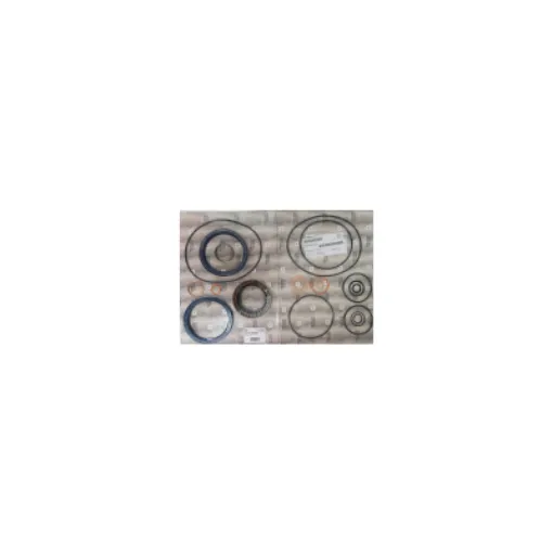 Picture of 3217199020 Gasket Kit Zf550 / Zf550A