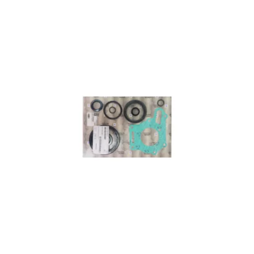 Picture of 3312199020 Gasket Kit + Segments Zf63Iv-Zf80A-Zf81A