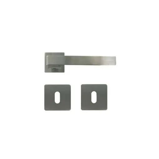 Picture of Handle with rosette stainless steel model Square with 1/2 turn key Klose Besser