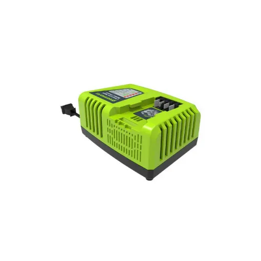 Picture of Quick charger GREENWORKS 40V - G40UC4