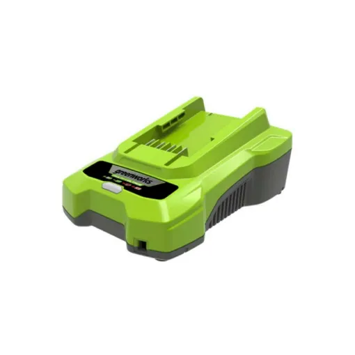 Picture of Charger GREENWORKS 40V - G40C