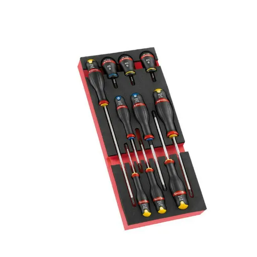 Picture of FACOM screwdriver module - ProTwist - foam tray - 10 pcs - MODM.AT5