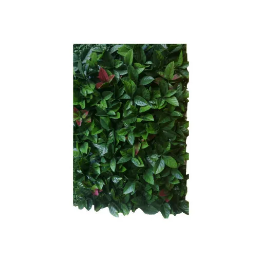 Picture of Green wall JET7GARDEN 12 plates artificial foliage red robin - 3m2 - Green and red