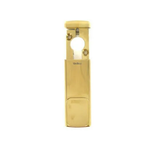 Picture of magnetic protection for European polished brass cylinder