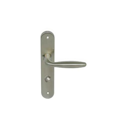 Picture of Door handle on lock plate - Stainless steel 304 Brushed Mat