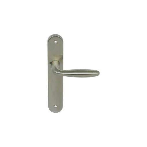 Picture of Door handle on plate - Cane spout - 304 brushed stainless steel