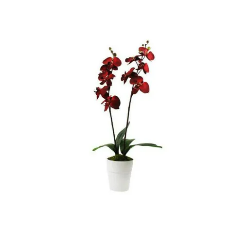 Picture of Orchid artificial composition 2 red 70cm stems