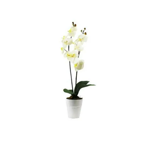 Picture of Composition artificial orchid stems 70cm cream 2