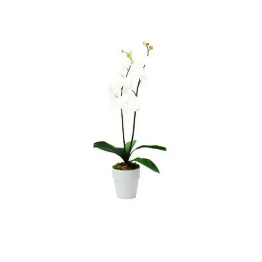 Picture of artificial composition pure white orchid 2 stems 70cm