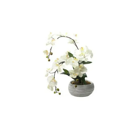 Picture of artificial composition zen orchid cream 55cm 3 rods