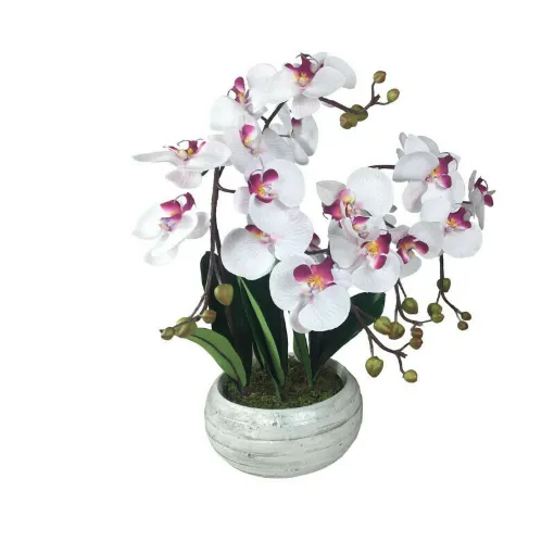 Picture of Artificial composition Orchid white zen streaked purple 5 stems - 55cm