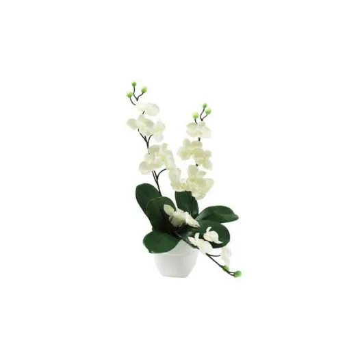 Picture of mini White Orchid Composition 2 stems 35cm fallout