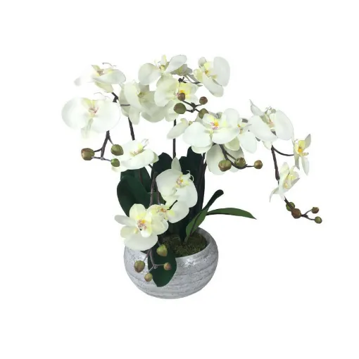 Picture of Artificial composition Orchid cream zen 5 stems - 55cm