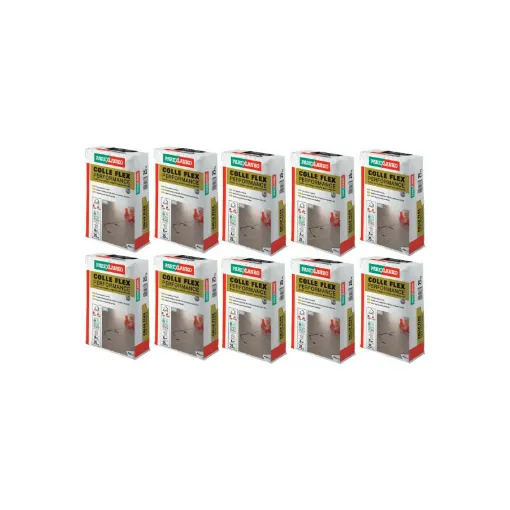 Picture of 10 PAREXLANKO tile adhesives flex performance - 250kg