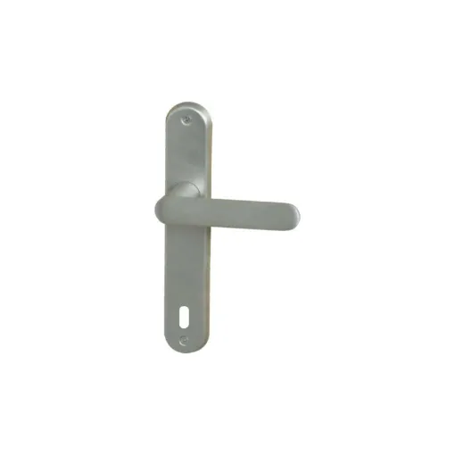 Picture of Door handle on key plate L model Daphne - Satin Nickel