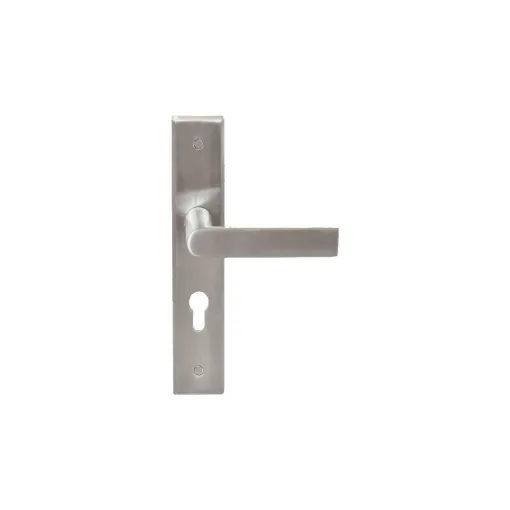 Picture of Door handle on plate model Bastide Prestige - Stainless steel