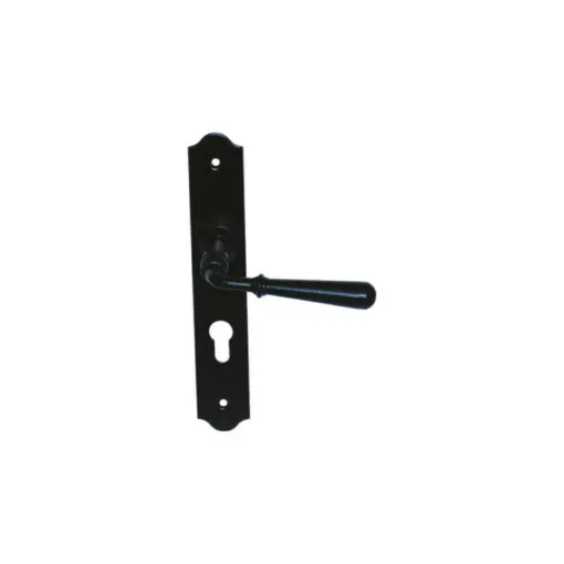 Picture of Door handle on narrow plate with classic key Beynac model - Black iron