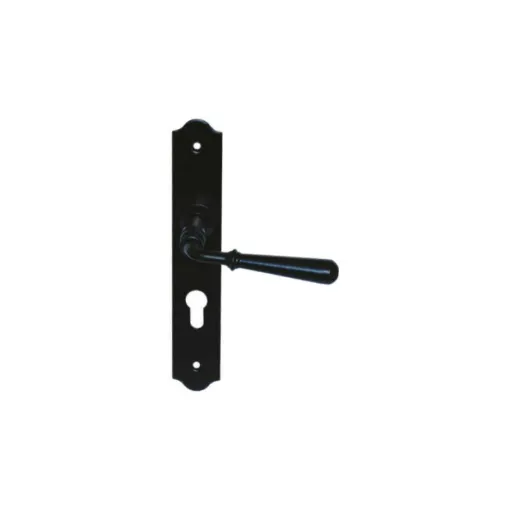 Picture of Door handle on classic key plate Beynac model - Black