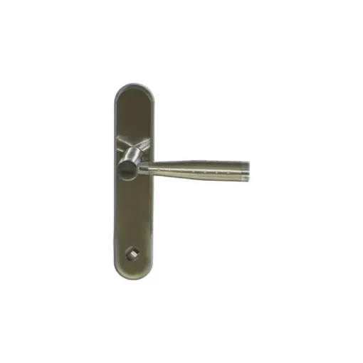 Picture of Door handle on plate with condemnation model Biarritz - Nickel-plated Matt