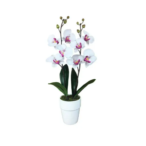 Picture of Artificial composition Orchid white streaked purple 2 stems - 60cm