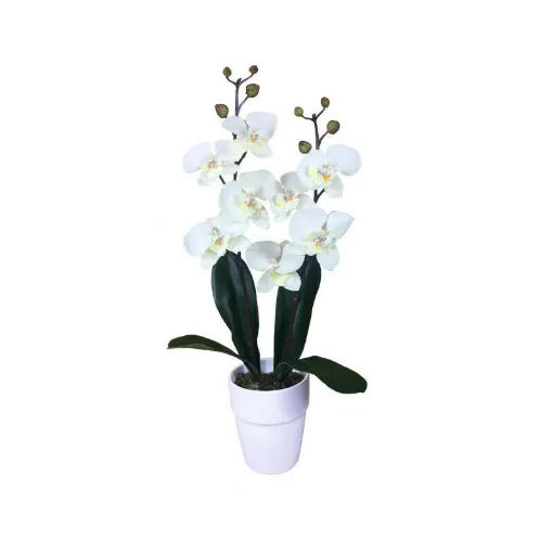 Picture of Artificial composition Orchid cream 2 stems - 60cm