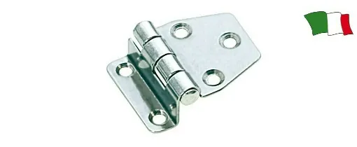 Picture of 316 mm Swing Hinge Stainless Steel. 66 X 40 X 2