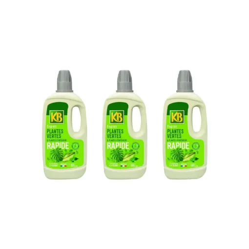 Picture of Set of 3 quick fertilizers for green plants KB - 1L