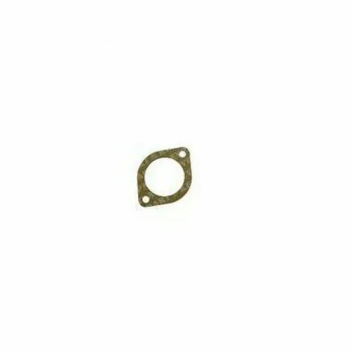 Picture of Thermostat Gasket Volvo Penta 859811