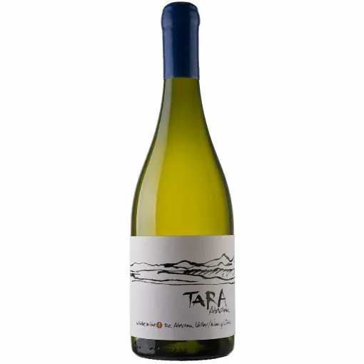 Picture of Vina Ventisquero - Tara - White Wine No. 1 - Chardonnay