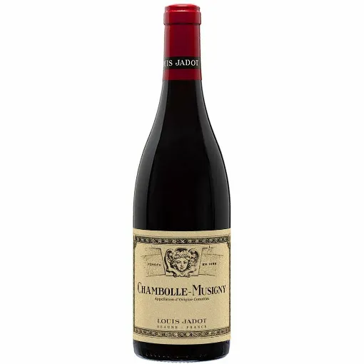 Picture of Louis Jadot - Chambolle Musigny