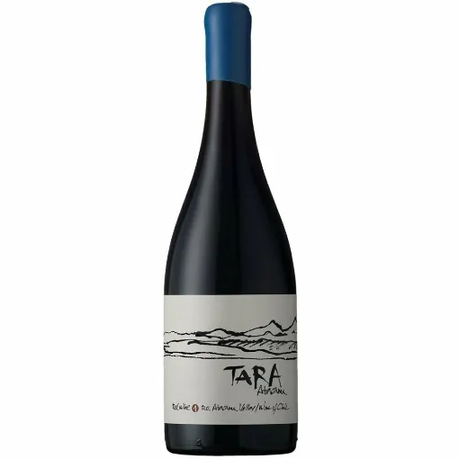 Picture of Viña Ventisquero Tara - Red Wine No. 2 - Syrah