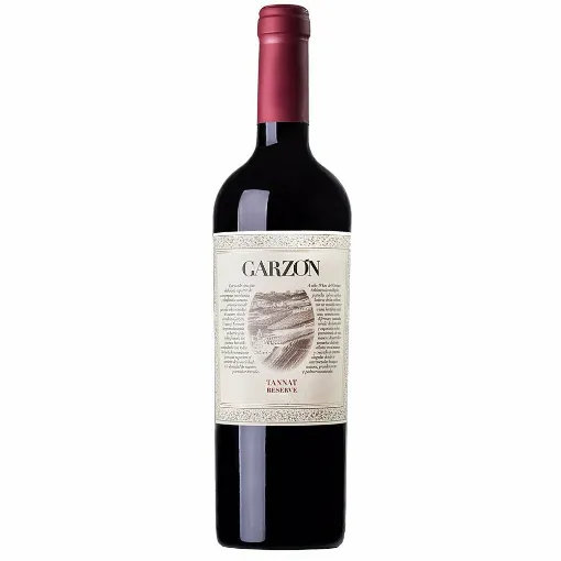 Picture of Bodega Garzon - Tannat Reserva