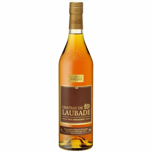 Picture of Château de Laubade - 6 yrs