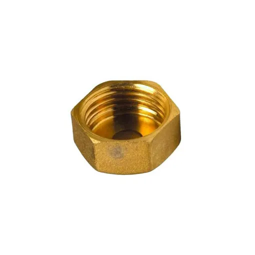 Picture of Brass Plug - 1" - Female